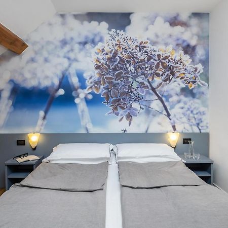 Pippo Hotel Terzolas Eksteriør bilde